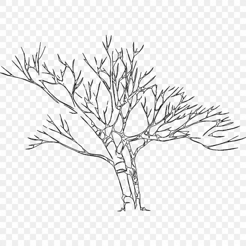 Twig Line Art Drawing Plant Stem, PNG, 1000x1000px, Twig, Artwork, Black And White, Branch, Drawing Download Free