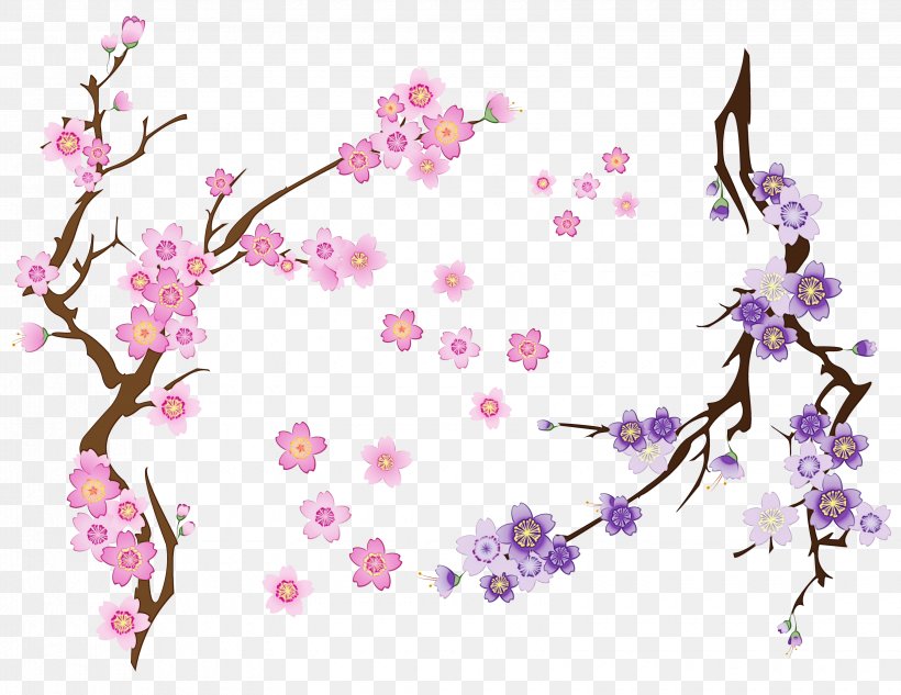 Cherry Blossom Background, PNG, 3300x2550px, Cherry Blossom, Bing Cherry, Blossom, Branch, Cherries Download Free