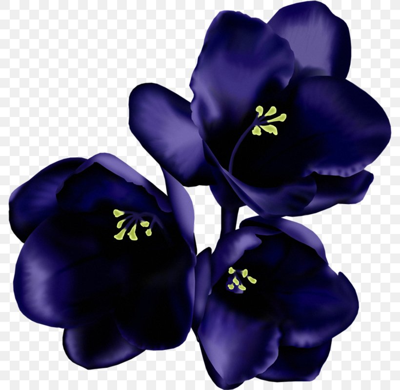 Flower Raster Graphics Clip Art, PNG, 786x800px, Flower, Bellflower Family, Blue, Cobalt Blue, Collage Download Free