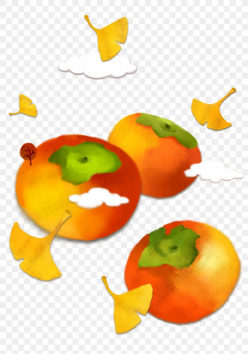 Japanese Persimmon Cartoon Illustration, PNG, 3500x5000px, Persimmon, Apple, Auglis, Autumn, Cartoon Download Free