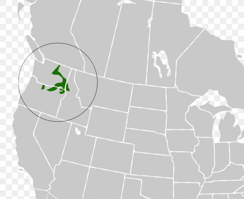 Ozarks Ouachita Mountains Ozark Mountain Forests Map, PNG, 1006x821px, Ozarks, Area, Arkansas, Geography, Location Download Free