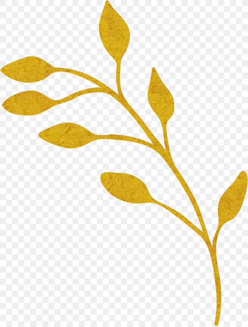 Plant Gold Yellow Euclidean Vector, PNG, 2907x3830px, Plant, Branch, Designer, Flower, Gold Download Free