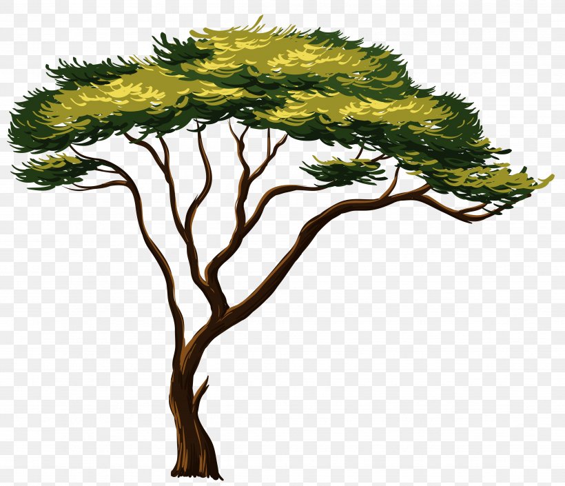 Tree Clip Art, PNG, 4792x4120px, African Trees, Baobab, Branch, Conifer, Grass Download Free