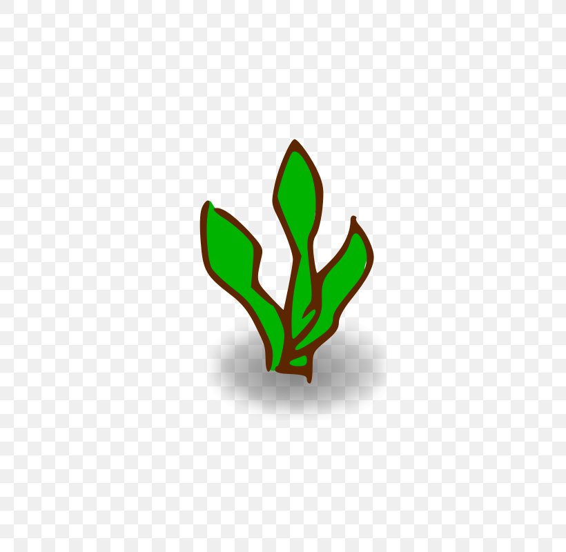 Tree Plant Clip Art, PNG, 800x800px, Tree, Cartoon, Drawing, Flower, Flowering Plant Download Free