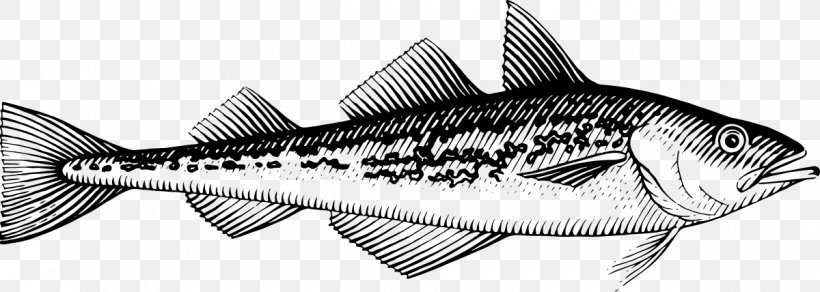 Line Art Requiem Sharks Drawing Milkfish, PNG, 1200x428px, Line Art, Artwork, Black And White, Drawing, Fish Download Free