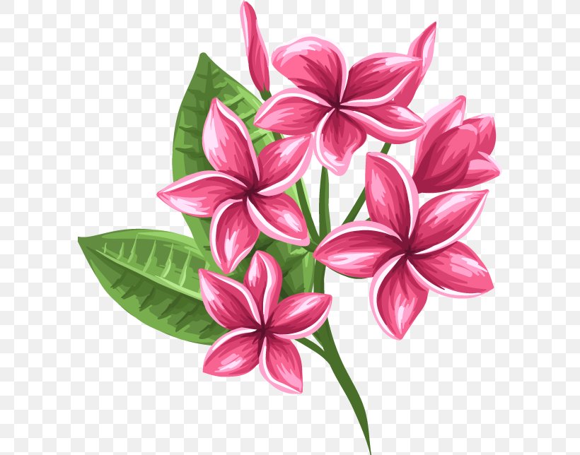 Floral Design Cut Flowers Petal, PNG, 600x644px, Floral Design, Cut Flowers, Floristry, Flower, Flower Arranging Download Free
