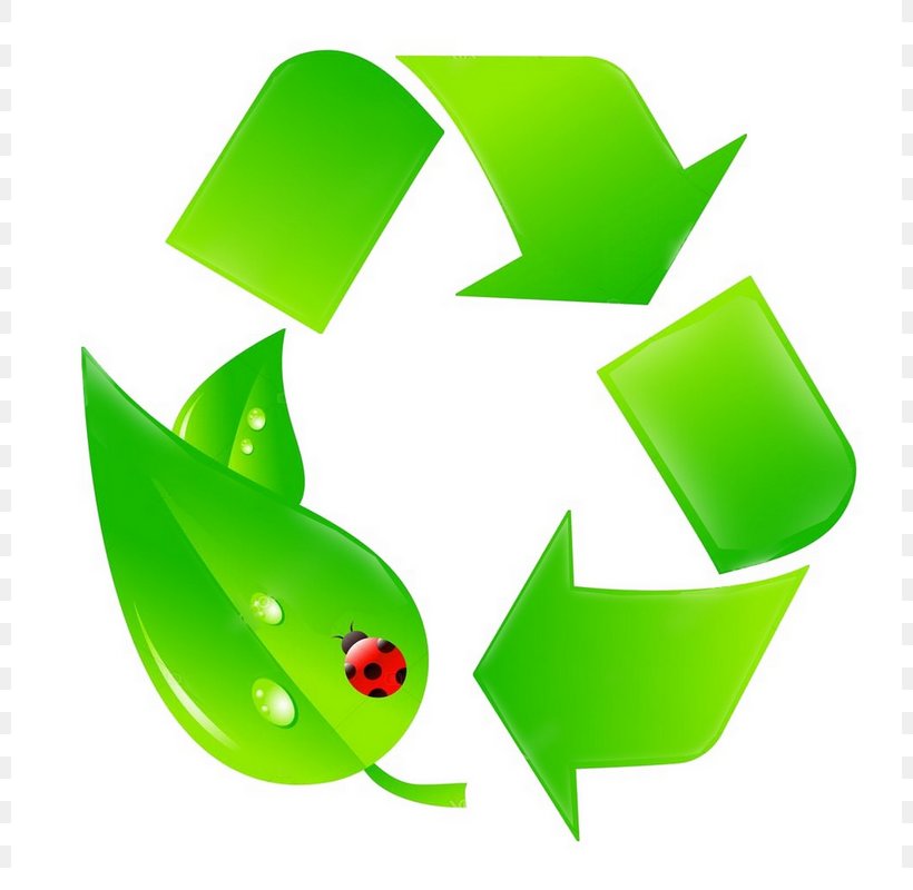 Recycling Symbol Arrow, PNG, 800x800px, Recycling Symbol, Green, Leaf, Paint Recycling, Plastic Recycling Download Free