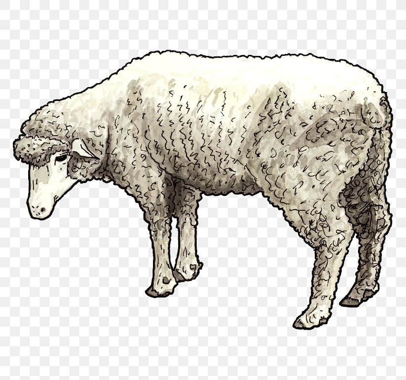 Cattle Goat Sheep Caprinae Animal, PNG, 768x768px, Cattle, Animal, Animal Figure, Antelope, Bear Download Free