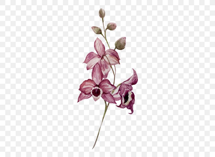 Watercolor Painting Drawing Flower Orchids, PNG, 600x600px, Watercolor Painting, Art, Branch, Color, Cut Flowers Download Free
