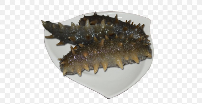 Sea Cucumber As Food, PNG, 899x467px, Sea Cucumber As Food, Animal Source Foods, Cucumber, Decapoda, Food Download Free