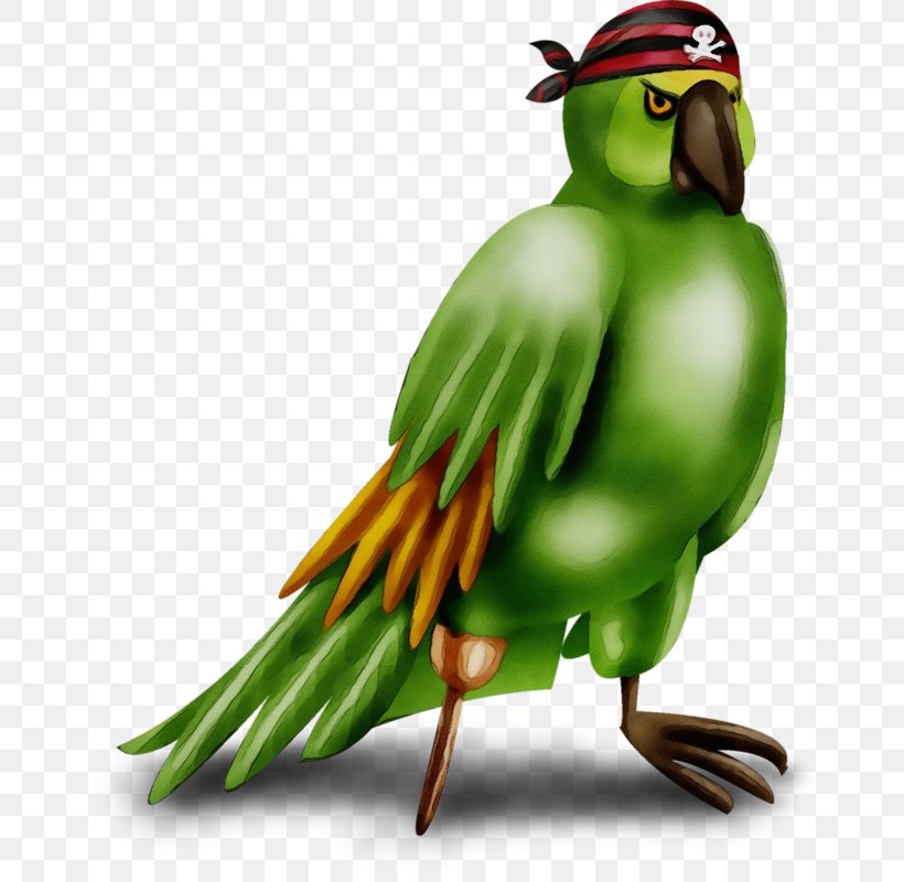 Bird Beak Parrot Parakeet Budgie, PNG, 672x800px, Watercolor, Beak, Bird, Budgie, Paint Download Free