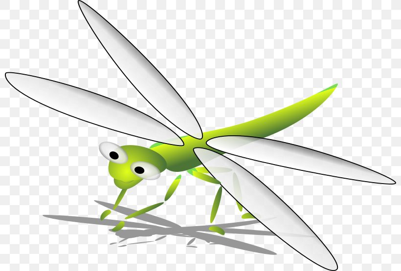 Dragonfly Cartoon Clip Art, PNG, 800x555px, Dragonfly, Animation, Arthropod, Cartoon, Drawing Download Free