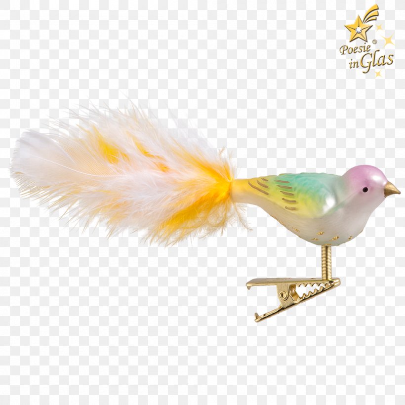 Feather Beak, PNG, 1000x1000px, Feather, Beak, Bird, Tail, Wing Download Free