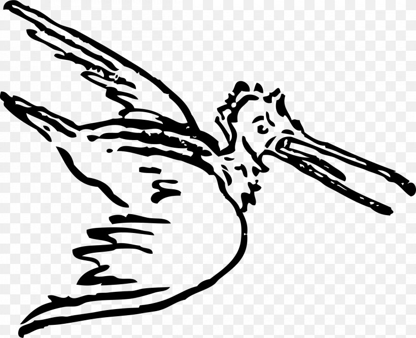 Bird Parrot Drawing Clip Art, PNG, 2400x1950px, Bird, Art, Artwork, Beak, Bird Flight Download Free