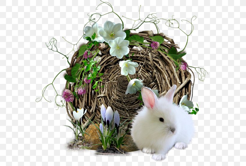 Easter Bunny Domestic Rabbit, PNG, 600x554px, Easter Bunny, Christmas, Domestic Rabbit, Easter, Easter Egg Download Free