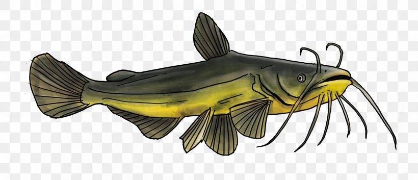 Goldfish Catfish Fishing Freshwater Fish, PNG, 1675x723px, Goldfish, Actinopterygii, Animal Figure, Bony Fish, Bony Fishes Download Free