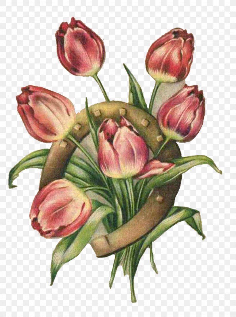 Tulip Painting Flower Still Life, PNG, 2290x3071px, Tulip, Bud, Color, Colored Pencil, Cut Flowers Download Free