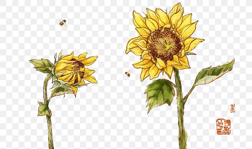 Ink Wash Painting Sunflowers Common Sunflower Chinese Painting, PNG, 725x484px, Ink Wash Painting, Art, Birdandflower Painting, Calligraphy, Chinese Painting Download Free