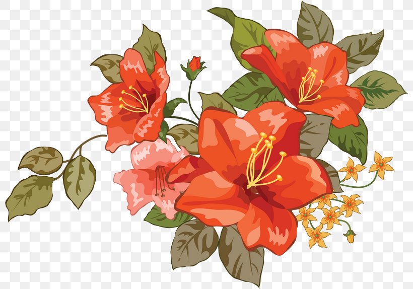 Vector Graphics Clip Art Image, PNG, 800x574px, Poster, Alstroemeriaceae, Cut Flowers, Drawing, Flora Download Free