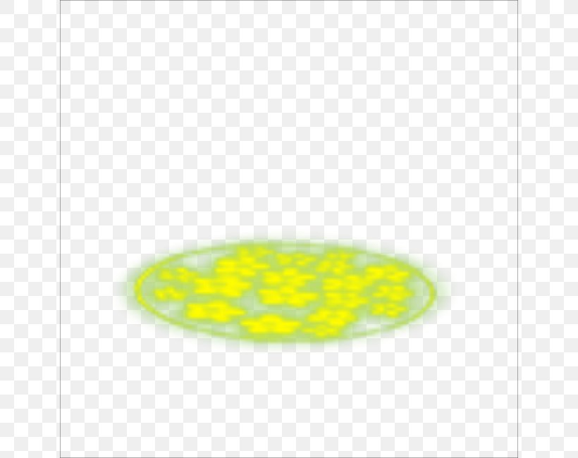 Yellow Organism Oval, PNG, 650x650px, Yellow, Organism, Oval Download Free
