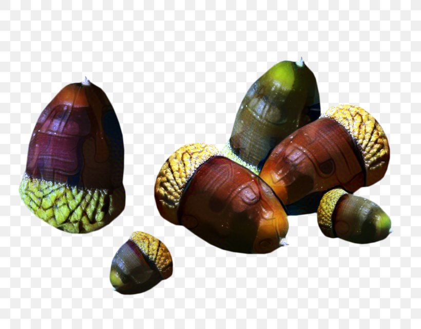 Snail Cartoon, PNG, 800x640px, 2018, Snail, Acorn, Chestnut, Discover Card Download Free