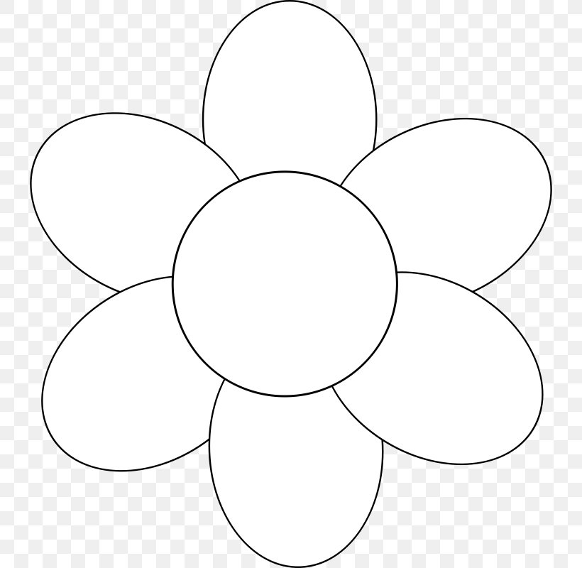 White Circle Area Angle Pattern, PNG, 800x800px, White, Area, Black, Black And White, Line Art Download Free