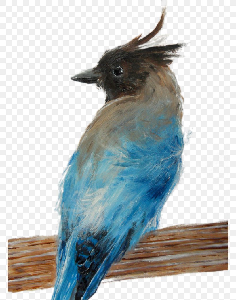 Blue Jay Cobalt Blue Fauna Bluebirds, PNG, 766x1043px, Blue Jay, Beak, Bird, Blue, Bluebird Download Free