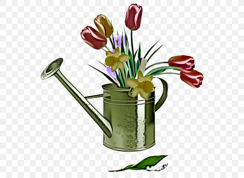 Flower Flowerpot Cut Flowers Plant Tulip, PNG, 570x600px, Flower, Cut Flowers, Flowerpot, Plant, Tulip Download Free