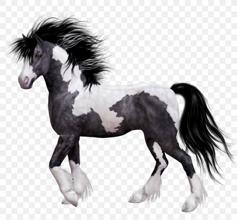 Horse Colt Domestic Animal, PNG, 1103x1024px, Horse, Animal, Colt, Dark Horse, Domestic Animal Download Free