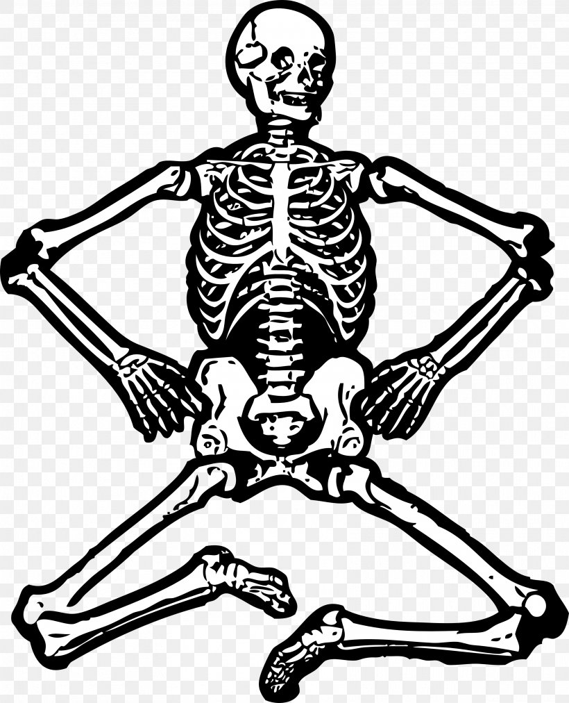 Human Skeleton Free Content Clip Art, PNG, 3333x4116px, Human Skeleton, Art, Black And White, Bone, Drawing Download Free