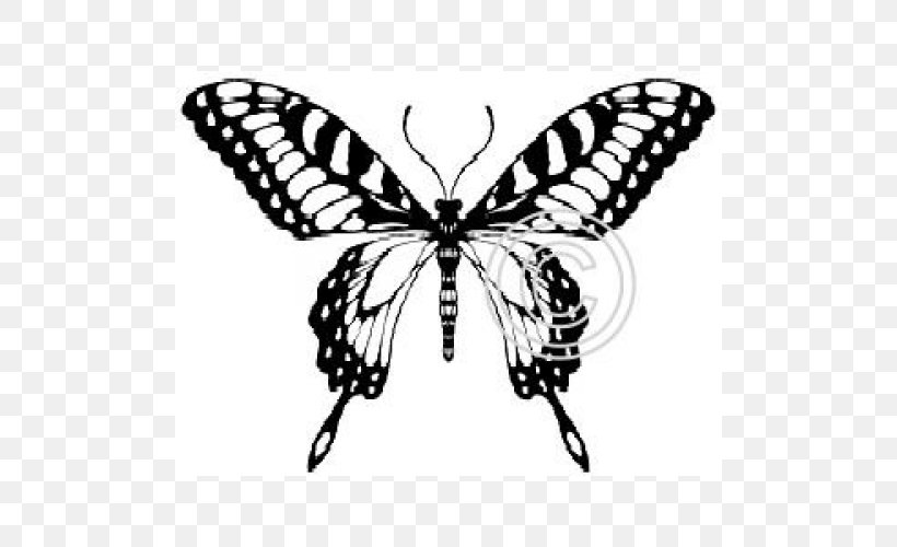 Monarch Butterfly Tattoo Moth Wall Decal, PNG, 500x500px, Monarch Butterfly, Arthropod, Belem, Black And White, Brush Download Free