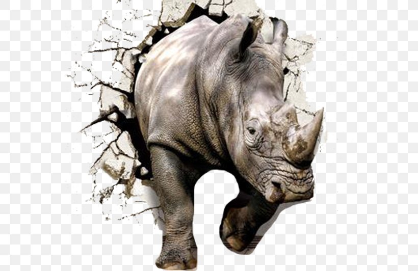 Wall Rhinoceros 3D The Gray Rhino: How To Recognize And Act On The Obvious Dangers We Ignore Paper Wallpaper, PNG, 567x532px, Paper, Art Deco, Decorative Arts, Fauna, Horn Download Free