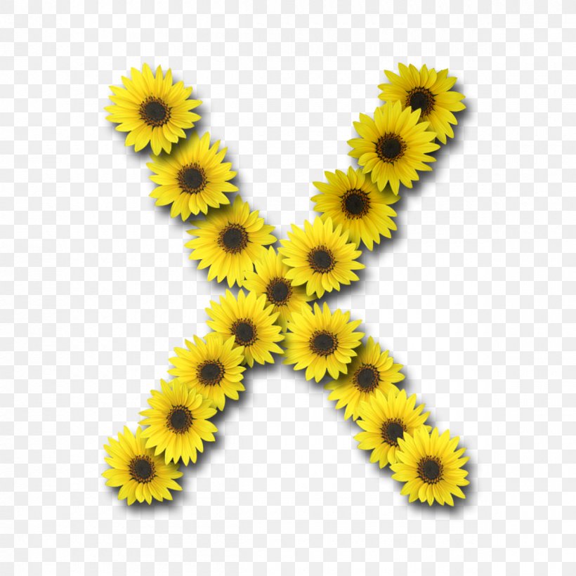 Alphabet Letter Flower X I, PNG, 1200x1200px, Alphabet, Blog, Common Sunflower, Daisy Family, Enchanted Parkway South Download Free