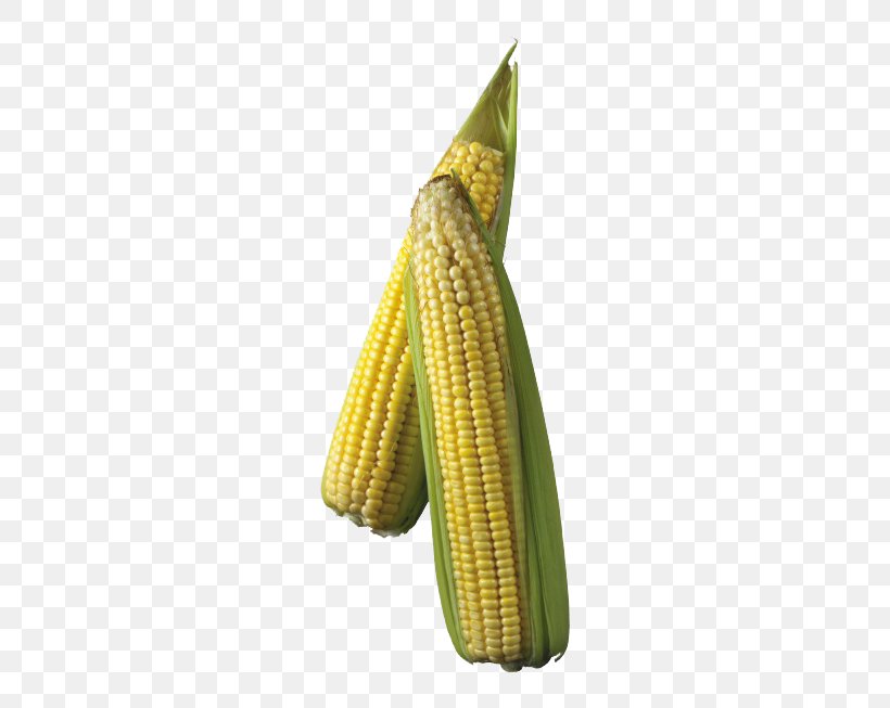 Maize Corn On The Cob Clip Art, PNG, 760x653px, Corn On The Cob, Commodity, Depositfiles, Food, Maize Download Free