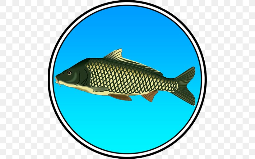 True Fishing (key) Pro Pilkki 2, PNG, 512x512px, Ultimate Fishing Simulator, Android, Aptoide, Carp, Fauna Download Free