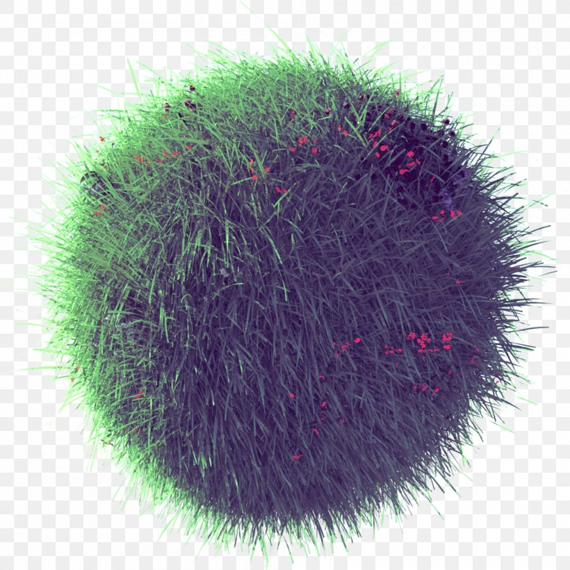 Fur, PNG, 1000x1000px, Fur, Grass Download Free