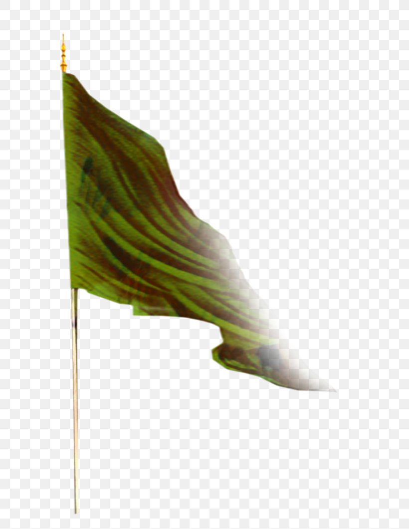 Green Leaf Background, PNG, 751x1061px, Leaf, Flag, Green, Plant Download Free