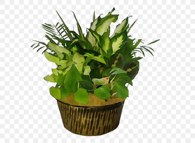 Leaf Flowerpot Houseplant Herb Biology, PNG, 600x600px, Watercolor, Biology, Flowerpot, Herb, Houseplant Download Free