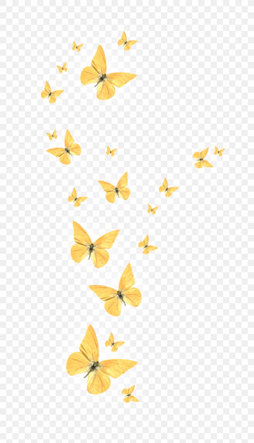 Butterfly Clip Art Image Desktop Wallpaper, PNG, 1606x2806px, Butterfly, Branch, Color, Computer Software, Flower Download Free