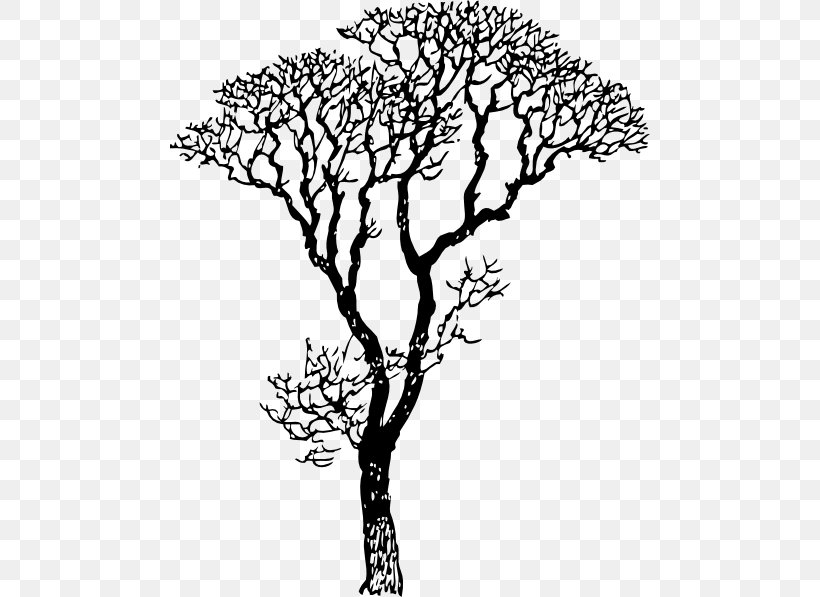 Wall Decal Sticker Tree Branch, PNG, 480x597px, Wall Decal, Black And White, Branch, Decal, Drawing Download Free