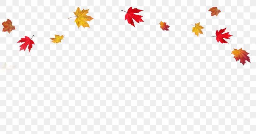 Autumn Leaf Color Clip Art, PNG, 1200x630px, Autumn Leaf Color, Autumn, Computer, Drawing, Flora Download Free