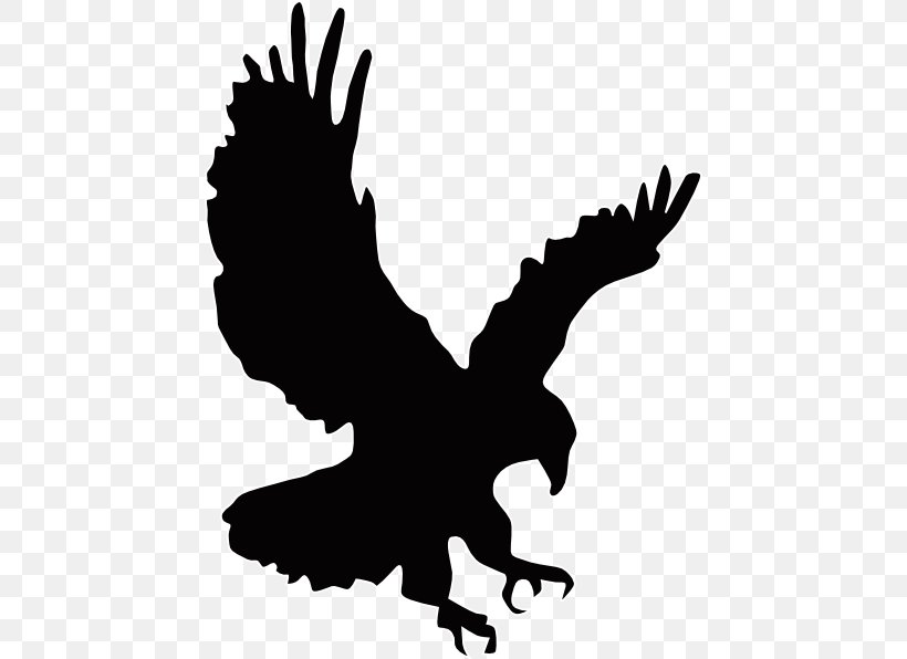 Bald Eagle Golden Eagle Clip Art, PNG, 450x596px, Bald Eagle, Airplane, Artwork, Beak, Bird Download Free