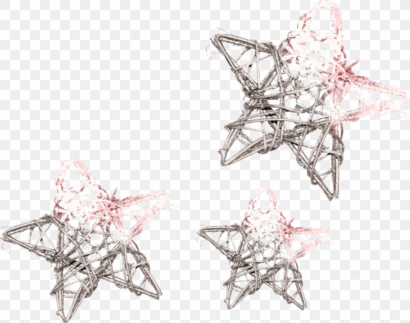 Star Picture Frames Winter Clip Art, PNG, 2537x2000px, Star, Body Jewelry, Branch, Jewellery, Mane Download Free