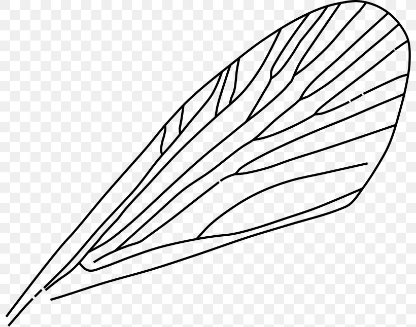 Insect Wing Dragonfly Clip Art, PNG, 800x645px, Insect, Antenna, Area, Artwork, Black And White Download Free