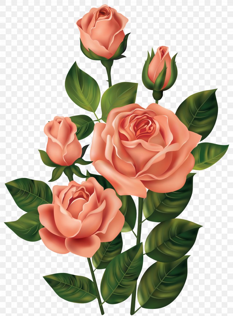 Rose Flower Pink Clip Art, PNG, 3696x5000px, Rose, Artificial Flower, Cut Flowers, Floral Design, Floribunda Download Free