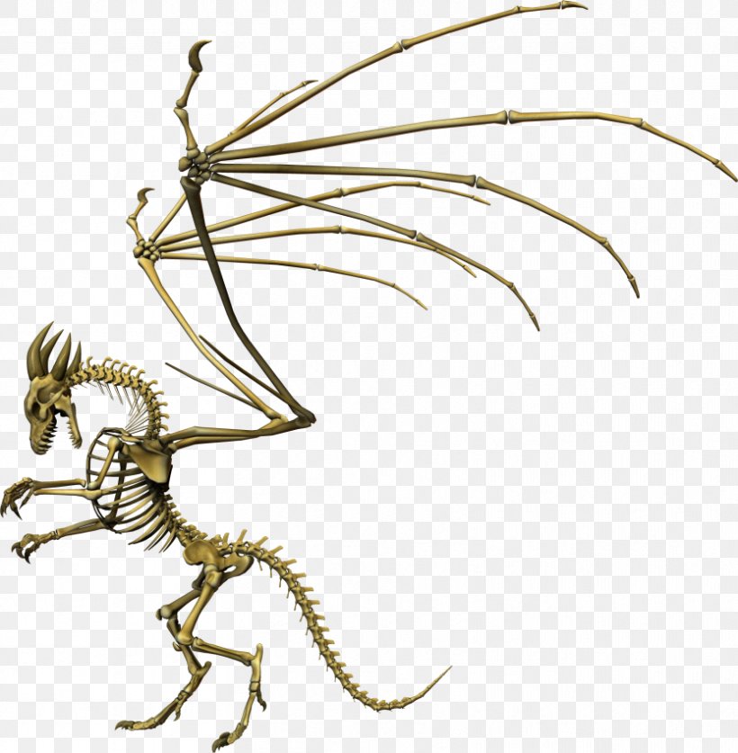 Dragon Skeleton Insect Animation, PNG, 833x851px, Dragon, Animation, Character, Fictional Character, Grass Family Download Free