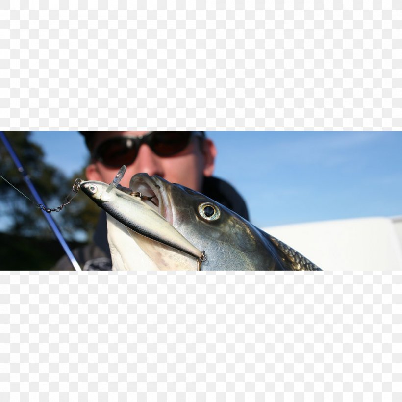 Fishing Baits & Lures Asp Plug, PNG, 1000x1000px, Fishing, Asp, Black Fly, Eye, Fin Download Free