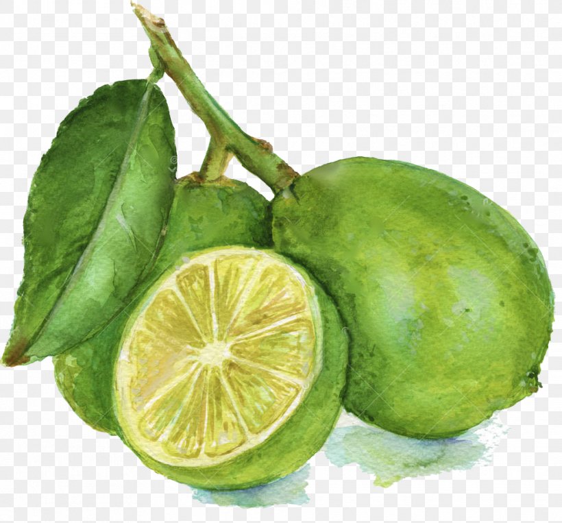 Lemon-lime Drink Lemon-lime Drink Persian Lime Key Lime, PNG, 988x920px, Lemon, Berry, Bitter Orange, Calamondin, Citric Acid Download Free