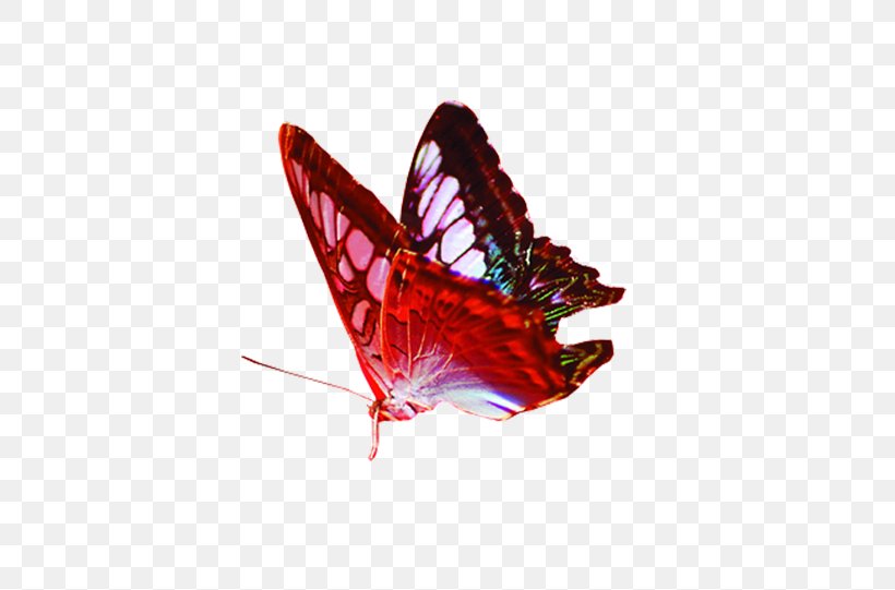 Butterfly Gratis Red, PNG, 619x541px, Butterfly, Arthropod, Butterflies And Moths, Color, Data Compression Download Free