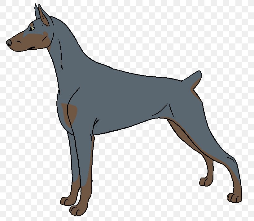 Dobermann German Pinscher Manchester Terrier Miniature Pinscher Dog Breed, PNG, 801x712px, Dobermann, Breed, Carnivoran, Dog, Dog Breed Download Free